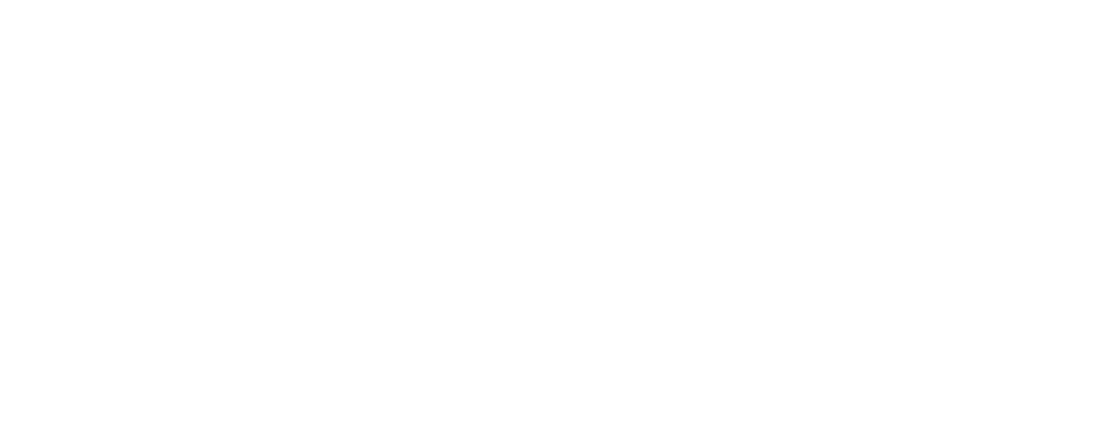 LFC Uluslararası Akademisi Türkiye